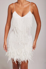 Anastacia Mini Dress